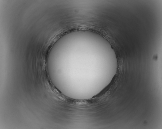 X0000115620716200911101056