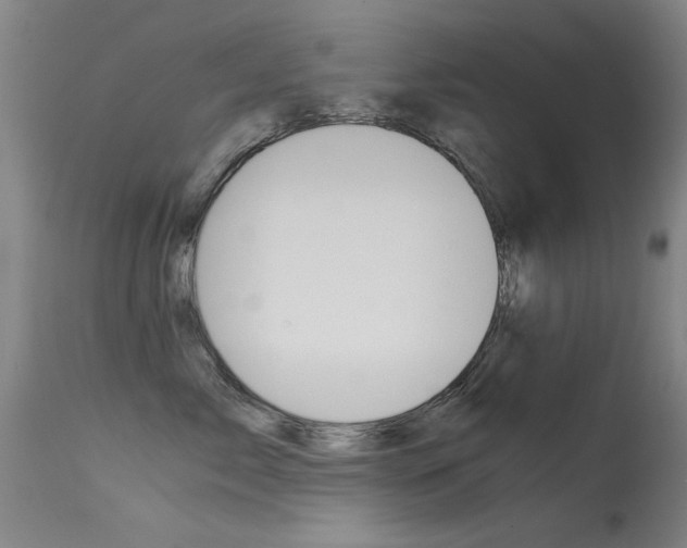 X0000115620717200911101056
