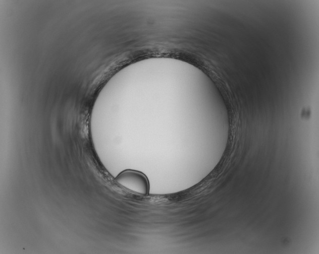 X0000115620719200911101056