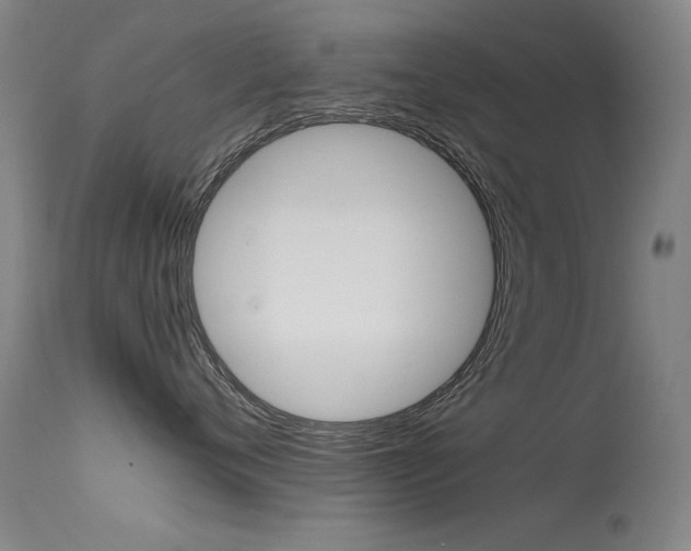 X0000115620720200911101056
