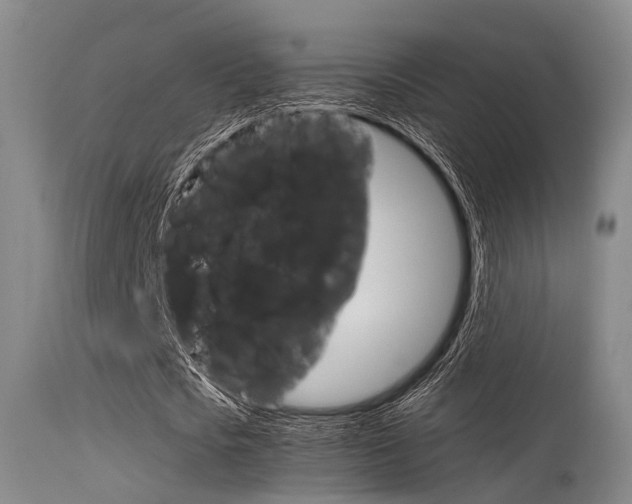 X0000115620721200911101055