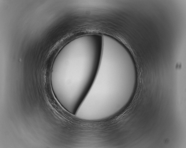 X0000115620722200911101055