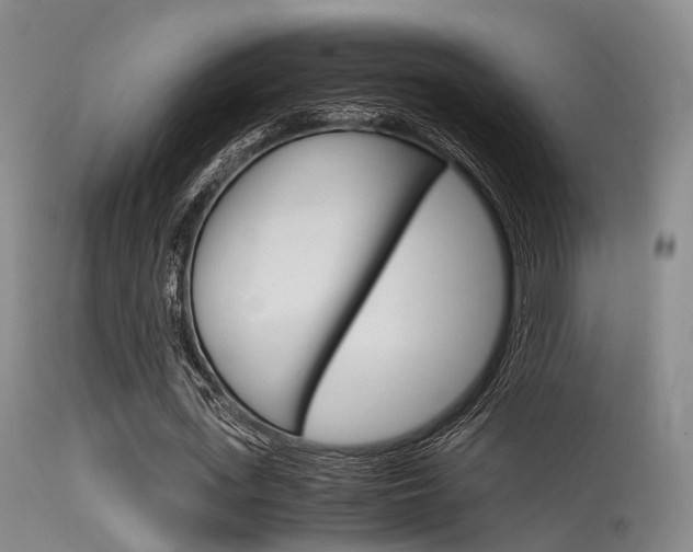 X0000115620723200911101055