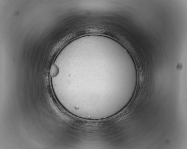 X0000115620725200911101055
