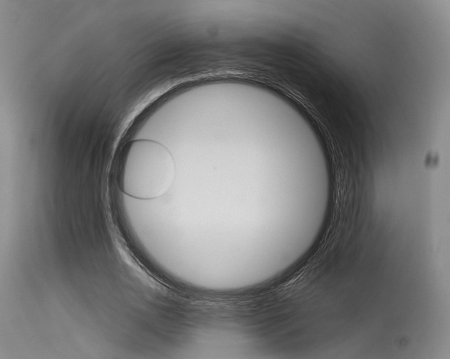 X0000115620726200911101055