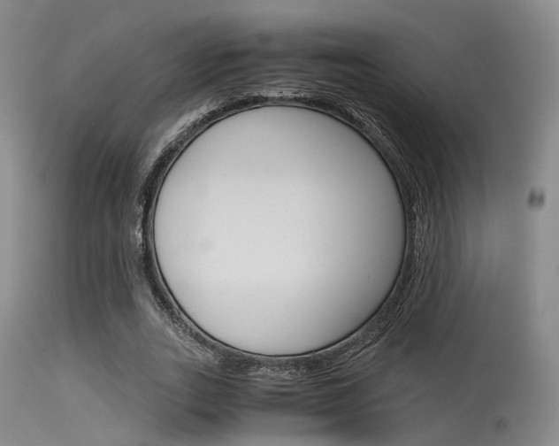 X0000115620727200911101055