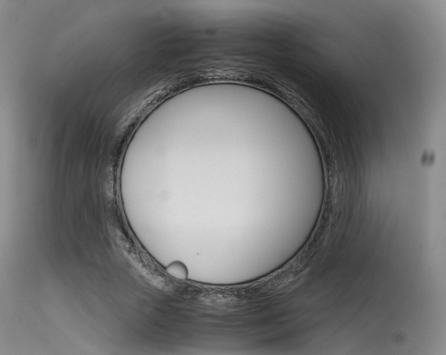 X0000115620729200911101055