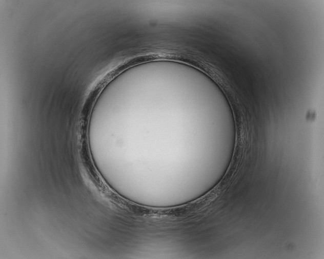 X0000115620730200911101055