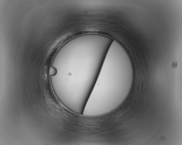 X0000115620731200911101055