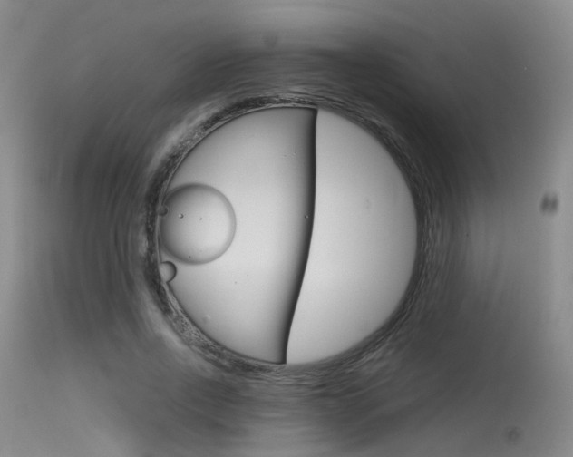 X0000115620734200911101055