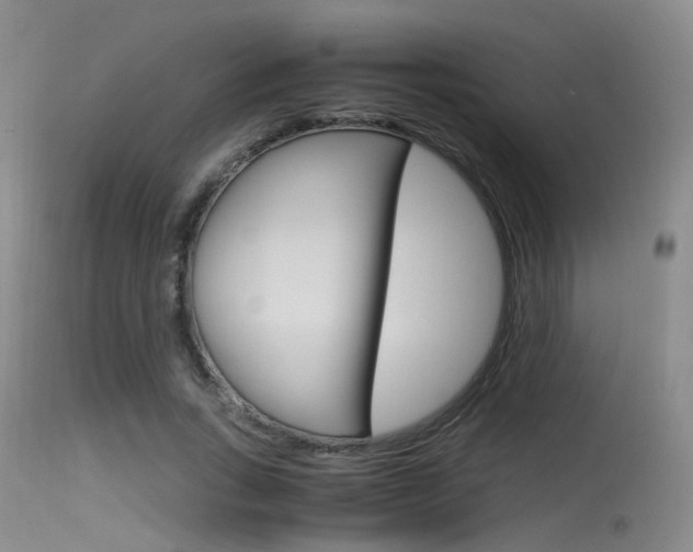 X0000115620735200911101055