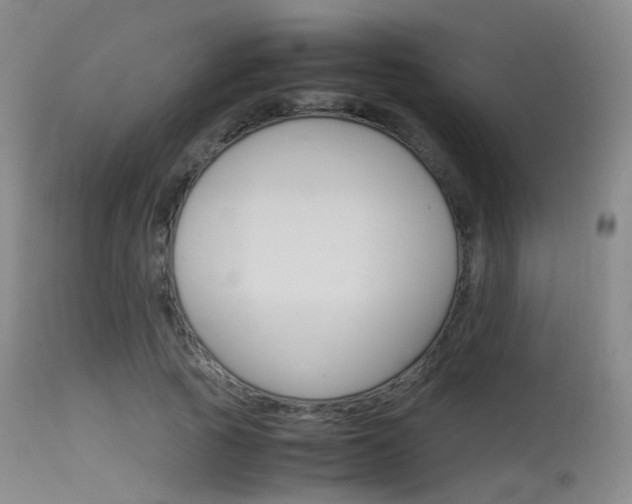 X0000115620737200911101055