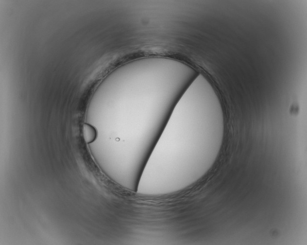 X0000115620738200911101055