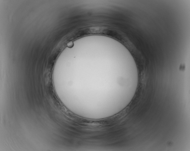 X0000115620741200911101055