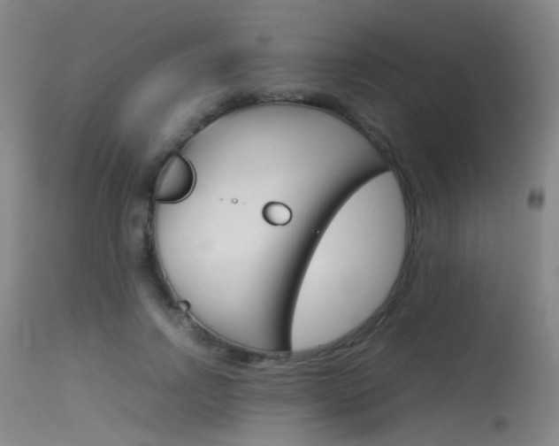X0000115620742200911101055