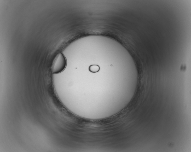 X0000115620743200911101056