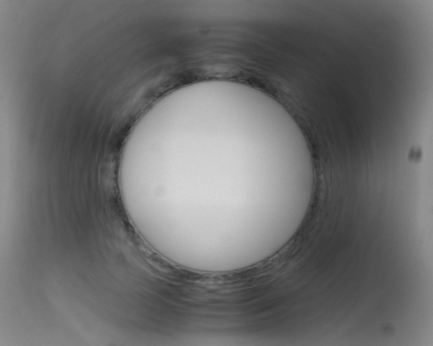 X0000115620745200911101056