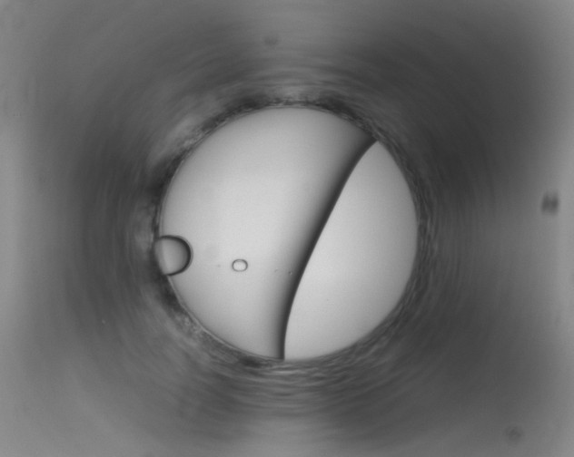 X0000115620746200911101056