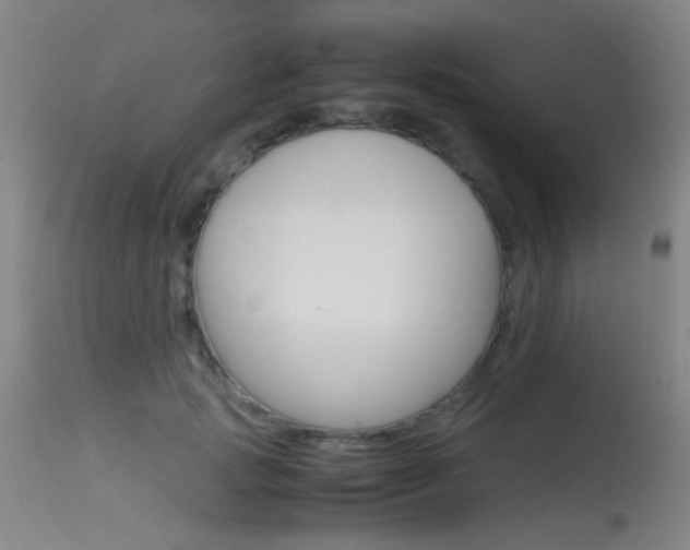 X0000115620749200911101056
