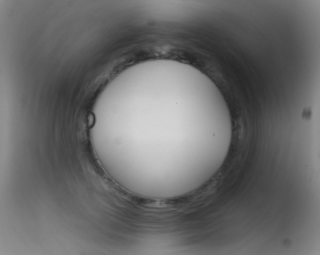 X0000115620754200911101056