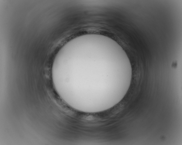 X0000115620755200911101056