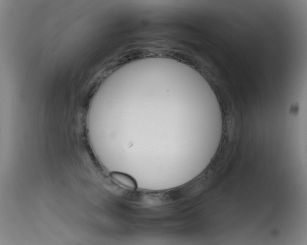 X0000115620757200911101056