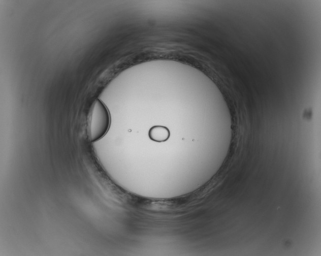 X0000115620758200911101056