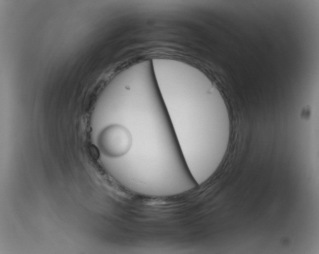 X0000115620759200911101056