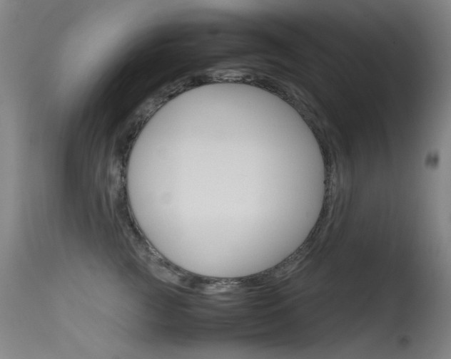 X0000115620761200911101056