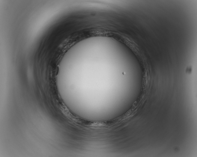 X0000115620762200911101056