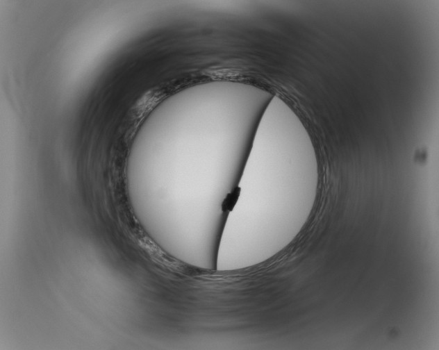 X0000115620763200911101056