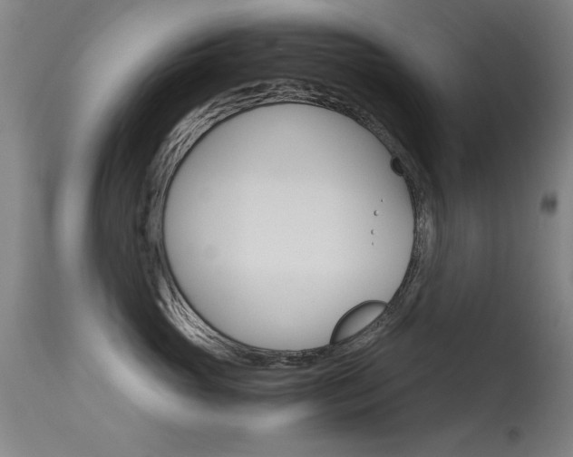 X0000115620765200911101056