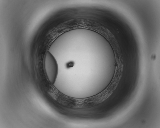 X0000115620766200911101056