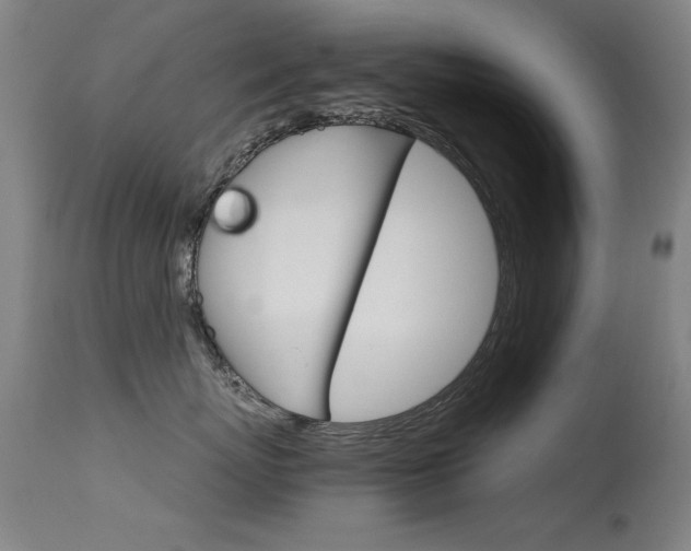 X0000115620767200911101056