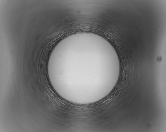 X0000115620769200911101055