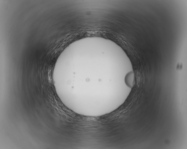 X0000115620770200911101055