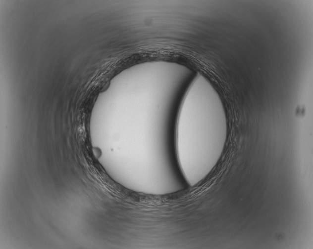 X0000115620771200911101055