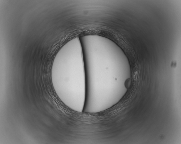 X0000115620772200911101055
