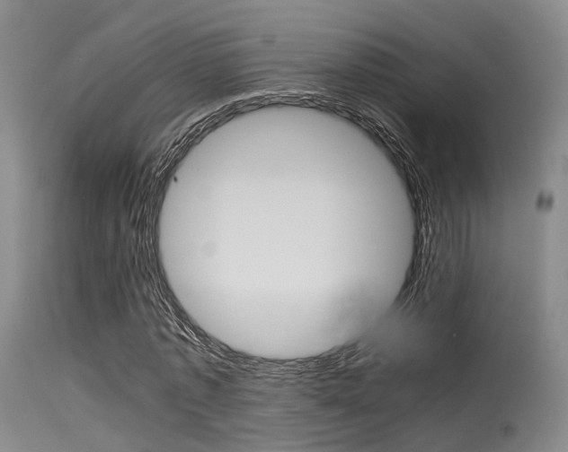 X0000115620773200911101055