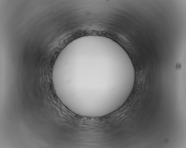 X0000115620774200911101055