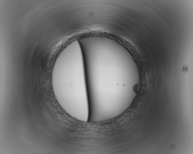 X0000115620776200911101055