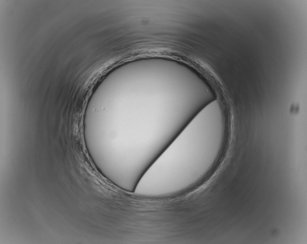 X0000115620777200911101055