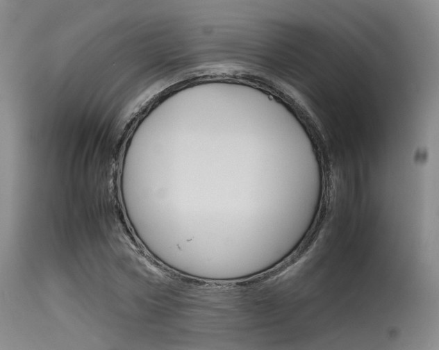 X0000115620778200911101055