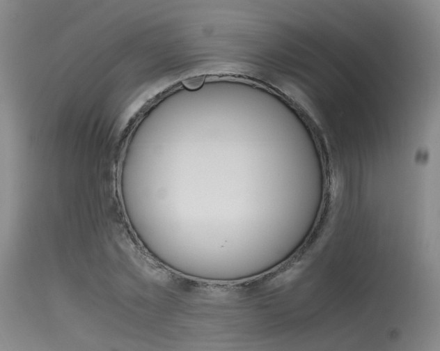 X0000115620781200911101055