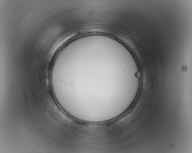 X0000115620782200911101055
