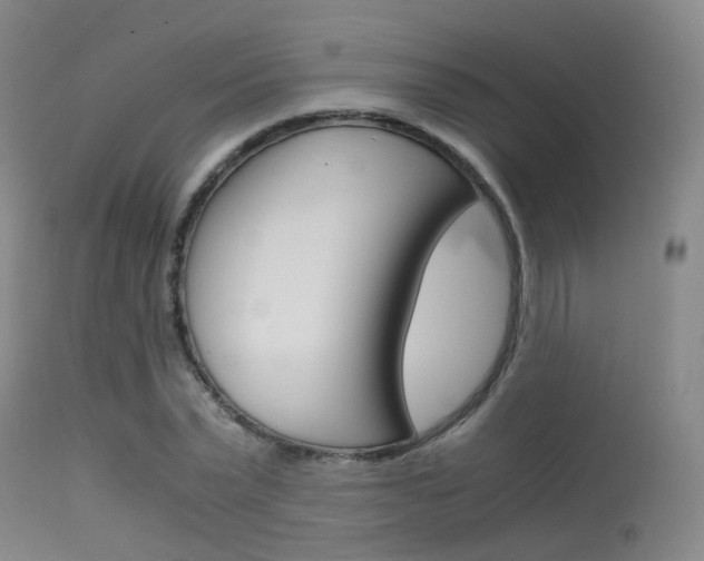 X0000115620783200911101055