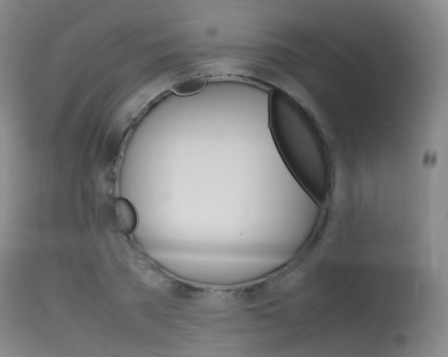 X0000115620785200911101055