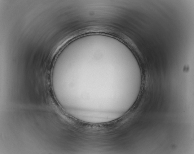 X0000115620786200911101055