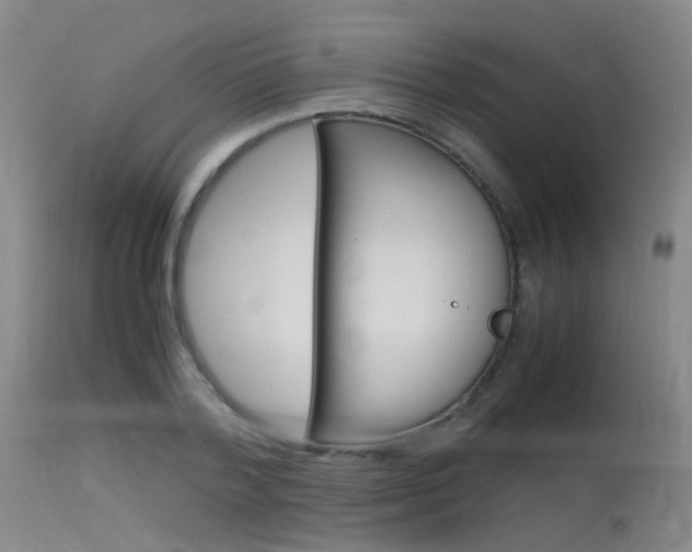 X0000115620788200911101055