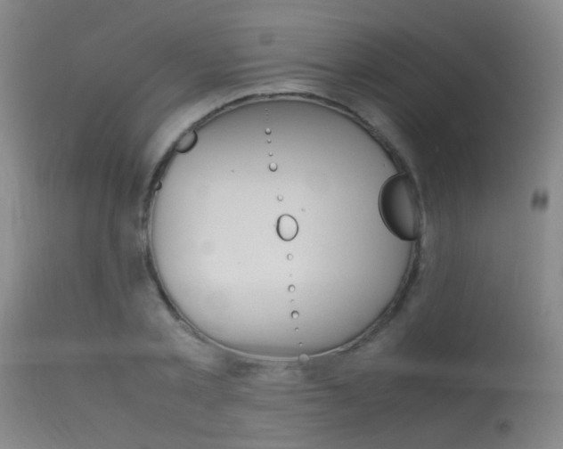 X0000115620789200911101055